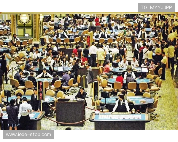 澳门新葡京网页版提供丰富多样的线上博彩游戏选择