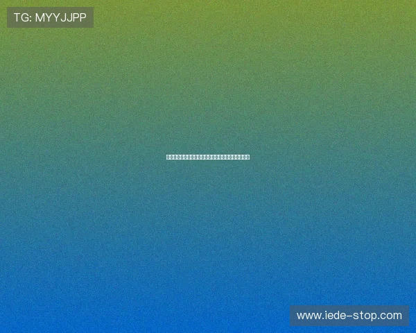 新葡京登录操作指南，详细步骤帮助新手快速上手游戏