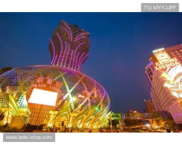 新葡京网页：新葡京网站的最新界面设计与功能优化详解