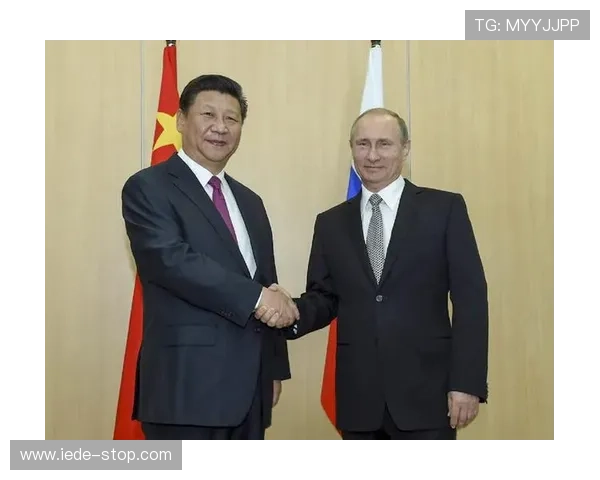 新普京的身份背景及其在俄罗斯国家治理中的作用详解