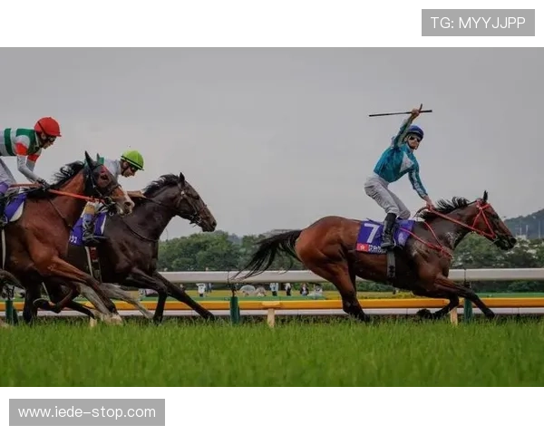 掌握赛马会网页版最新动态与优惠活动,享受丰富多彩的线上赛马娱乐体验 掌握赛马会网页版最新动态与优惠活动,享受丰富多彩的线上赛马娱乐体验